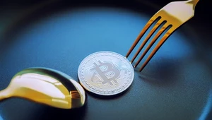 Właśnie pękła bańka mydlana promująca Bitcoina jako cyfrowe złoto XXI wieku (gold 2.0).