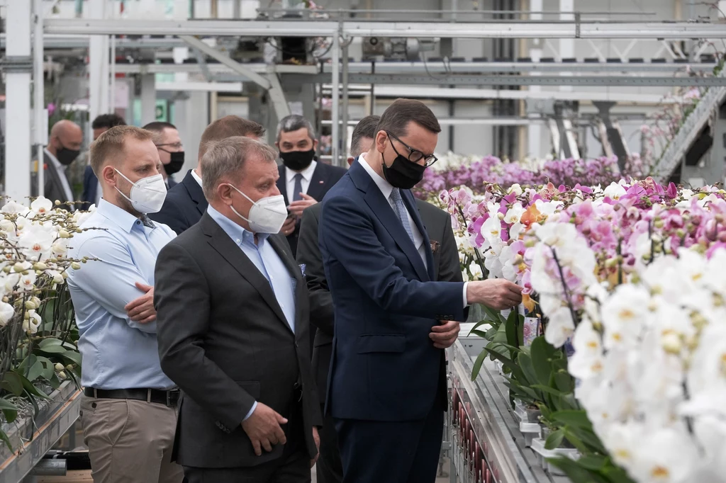 Premier Mateusz Morawiecki podczas wizyty w firmie JMP Flowers w Stężycy /Fot. Mateusz Marek Premier Mateusz Morawiecki podczas wizyty w firmie JMP Flowers w Stężycy /Fot. Mateusz Marek
