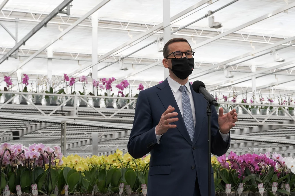 Premier Mateusz Morawiecki podczas wizyty w firmie JMP Flowers w Stężycy