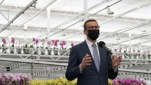 Premier Mateusz Morawiecki podczas wizyty w firmie JMP Flowers w Stężycy