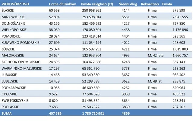 Źródło: Rejestr Dłużników BIG InfoMonitor