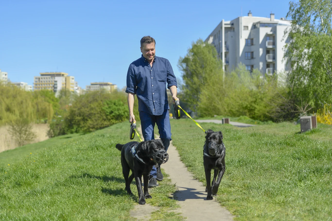 Robert Kudelski na spacerze z psami Robert Kudelski na spacerze z psami