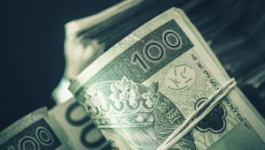 Waluty: Złoty może zejść poniżej 4,50 za euro 