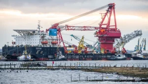 Ekolodzy przegrali batalię z niemieckim urzędem