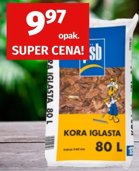 Kora iglasta PSB