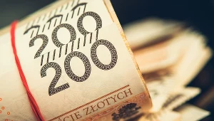 Propozycja dla seniorów: Pracuj bez podatku, ale nie pobieraj emerytury!