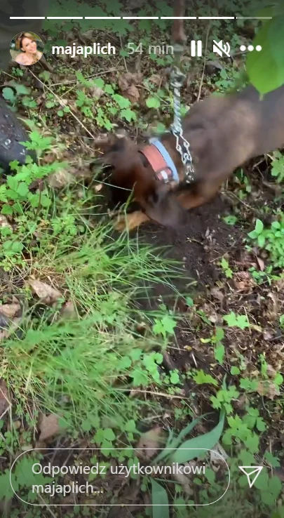 Poszukiwania relacjonuje żona Rutkowskiego