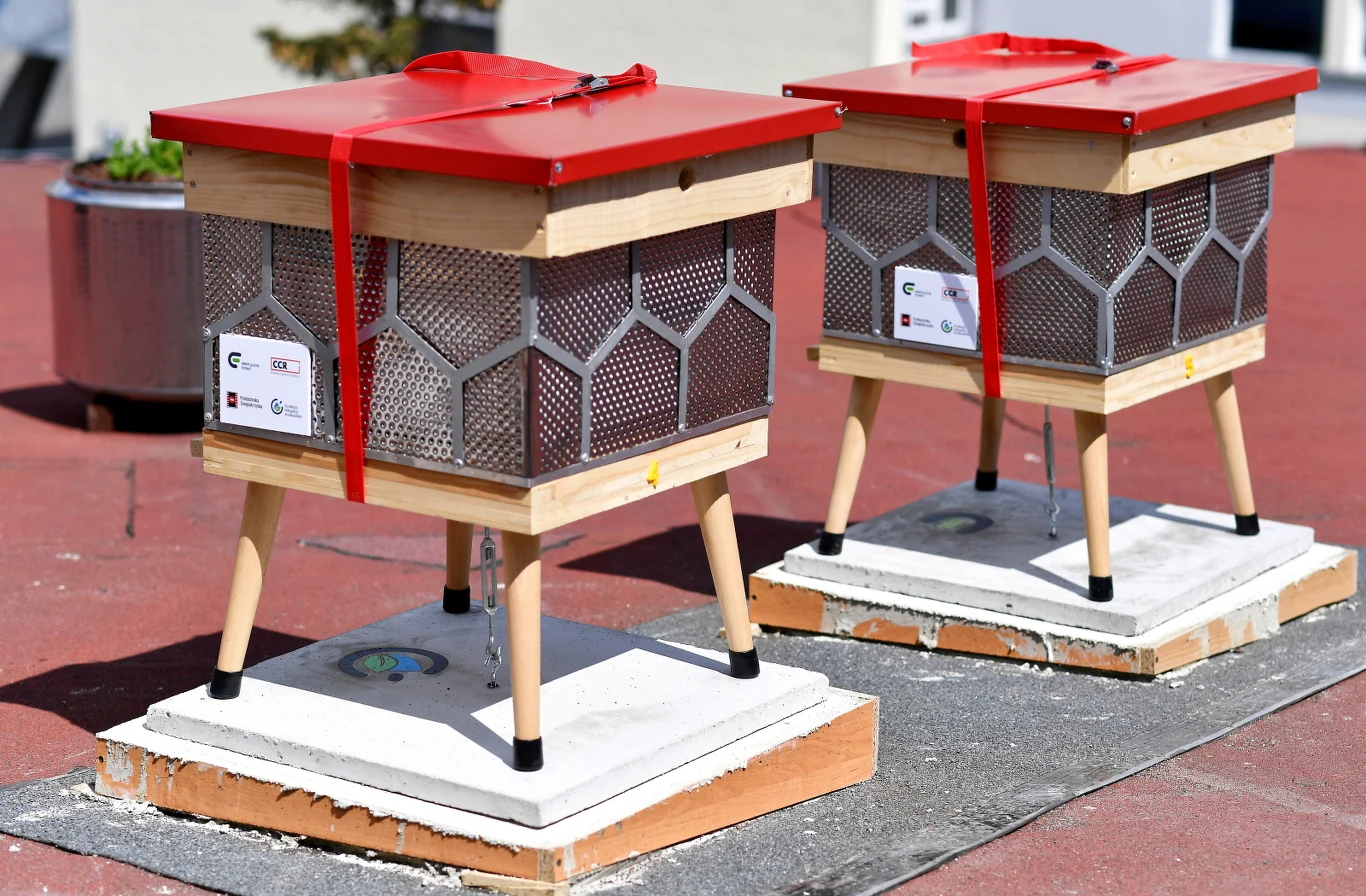  Pasieka składa się z pięciu charakterystycznych uli.