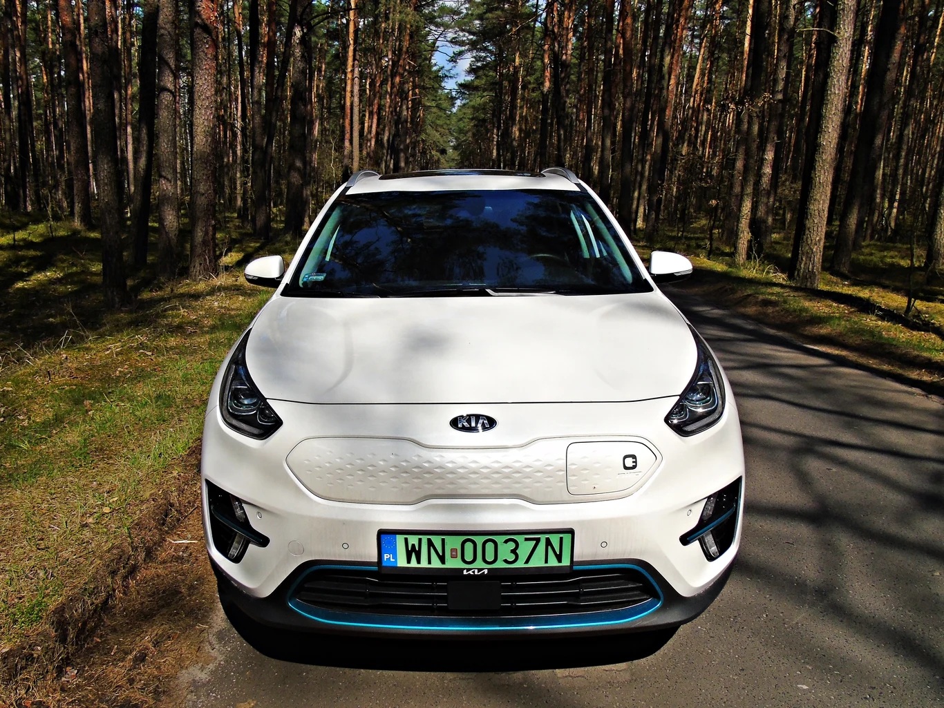 Kia e-niro XL na zdjęciach 