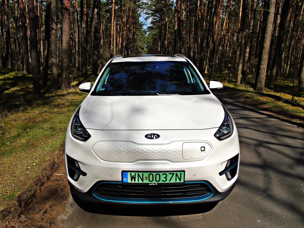 Kia e-Niro 64 kWh XL