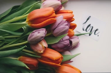 Sprawdź najlepsze oferty z kwiatami na Dzień Matki 