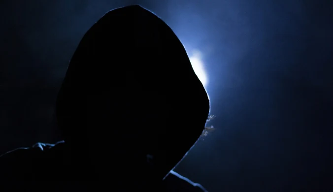 ​Patologia w sieci. Co jest nielegalne, a co "tylko" niemoralne?