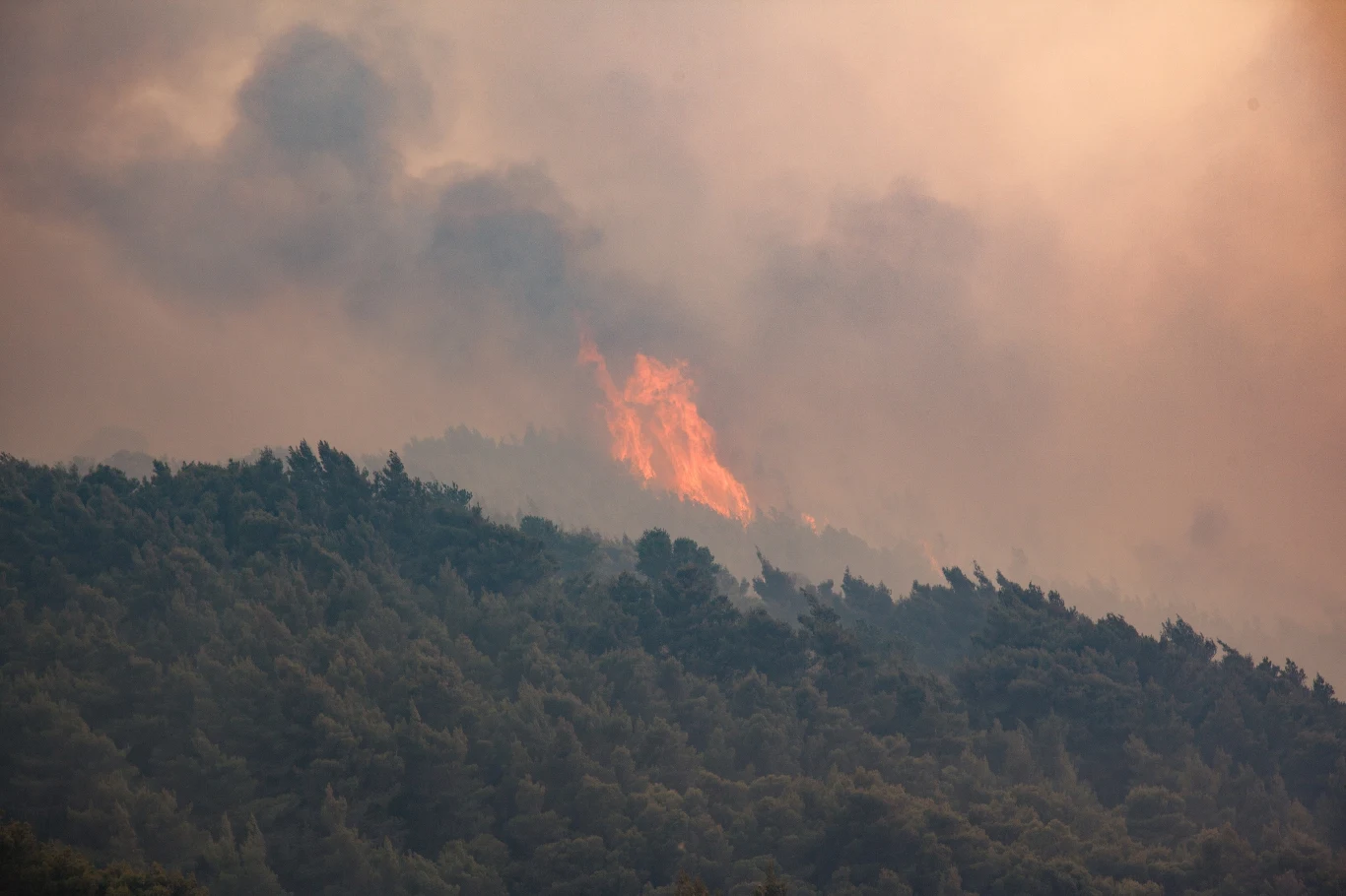 Pożary w Grecji są regularnym zjawiskiem. Najczęściej dochodzi do nich latem, kiedy temperatura jest wysoka, jest susza oraz wieje intensywny wiatr.