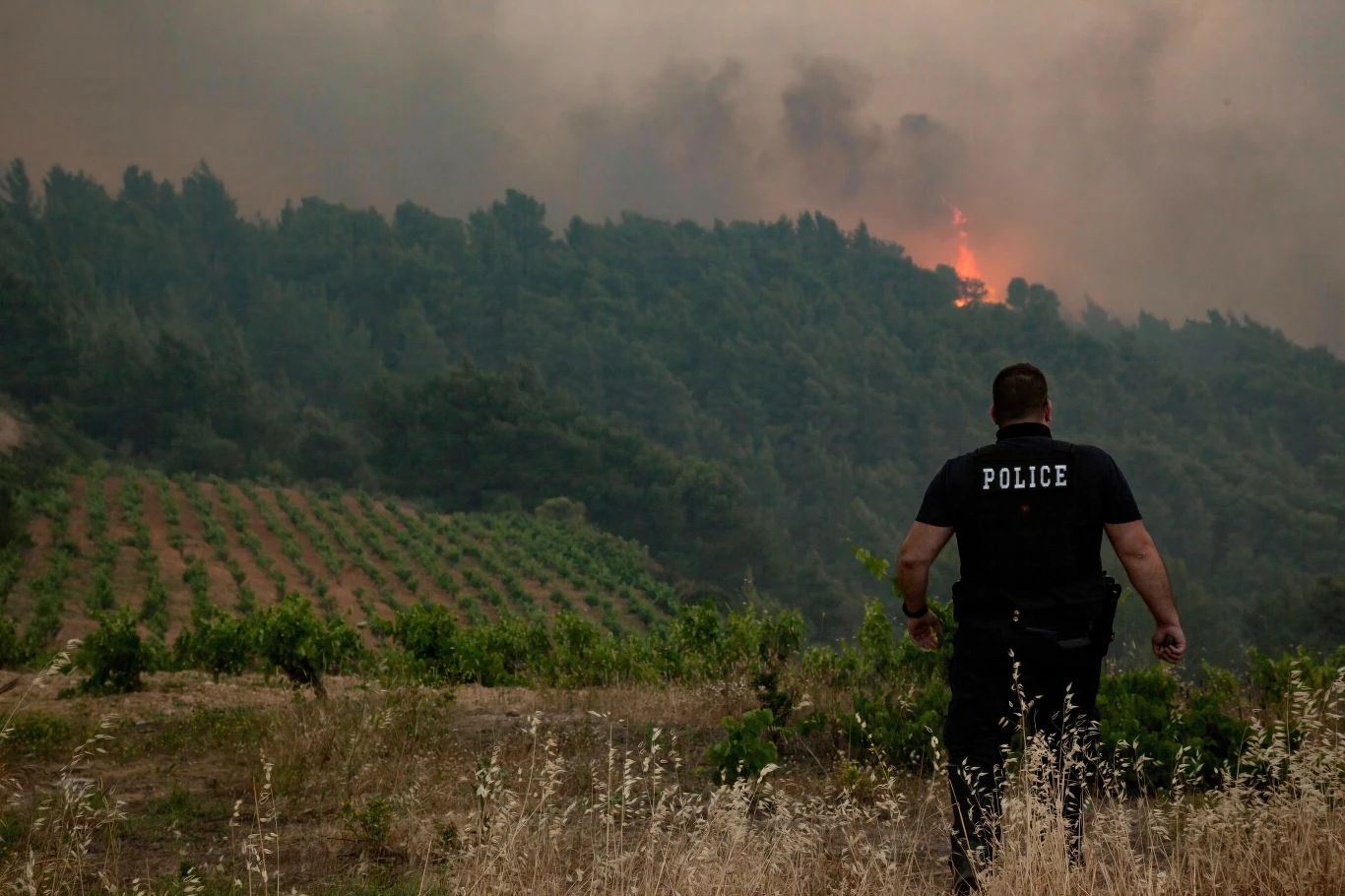 Władze Grecje zwróciły się o pomoc do Unii Europejskiej o dostęp do danych satelitarnych celem określenia szkód, jakie poczynił kataklizm.