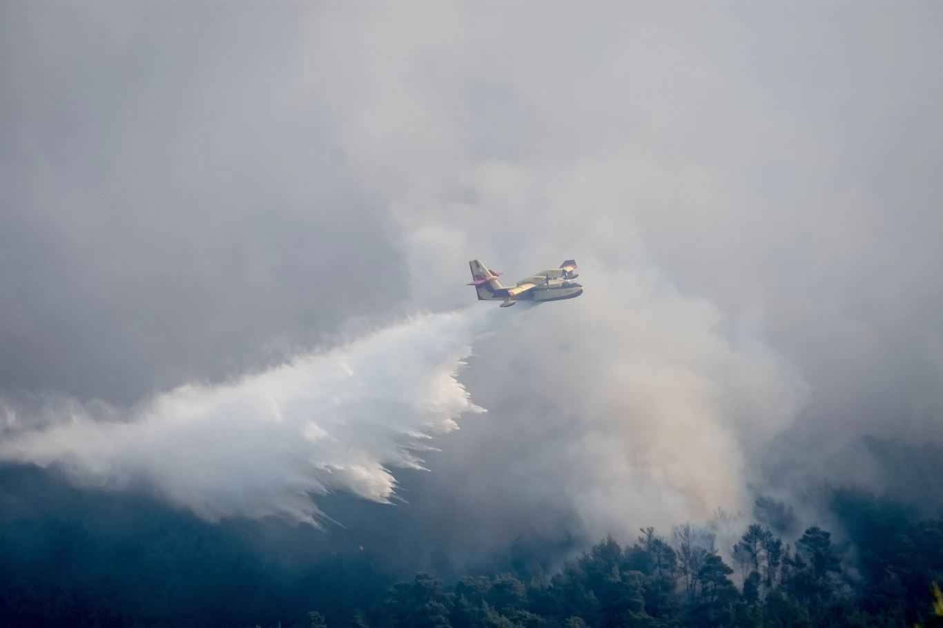 W akcjach gaśniczych zaangażowanych jest 300 strażaków, 80 wozów oraz 15 samolotów, z których zrzucana jest woda.