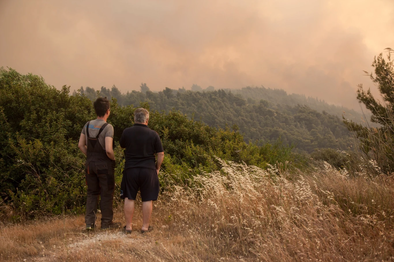 Poza gajami oliwnymi oraz lasami sosnowymi zostały uszkodzone także linie energetyczne. Kilkaset gospodarstw domowych zostało pozbawionych dostępu do prądu.