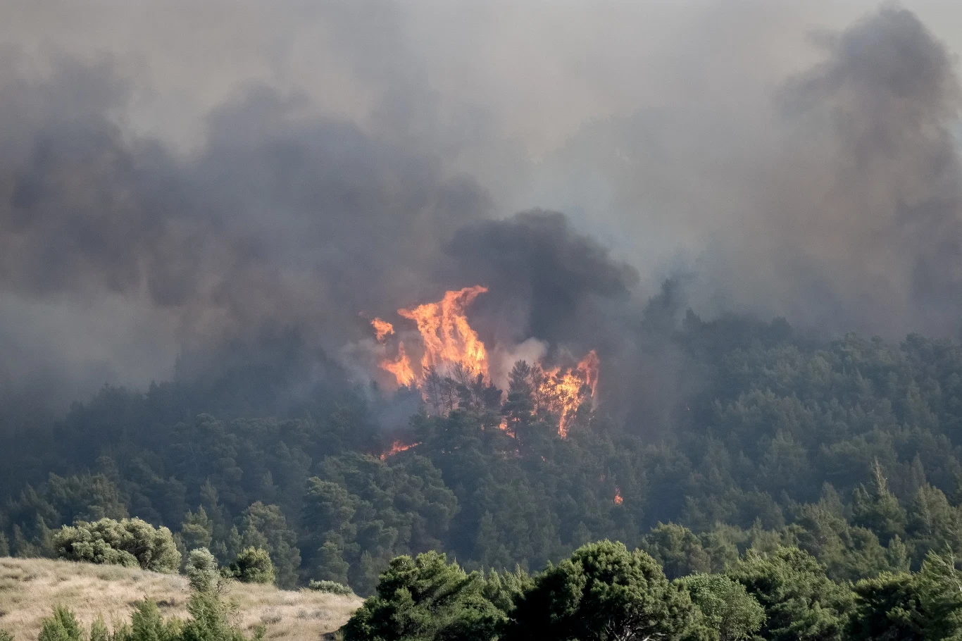 Wg służb strażackich warunki pogodowe silnie utrudniały skuteczną akcję gaśniczą. Sytuacja, ich zdaniem, była kryzysowa, ale w piątek się poprawiła.