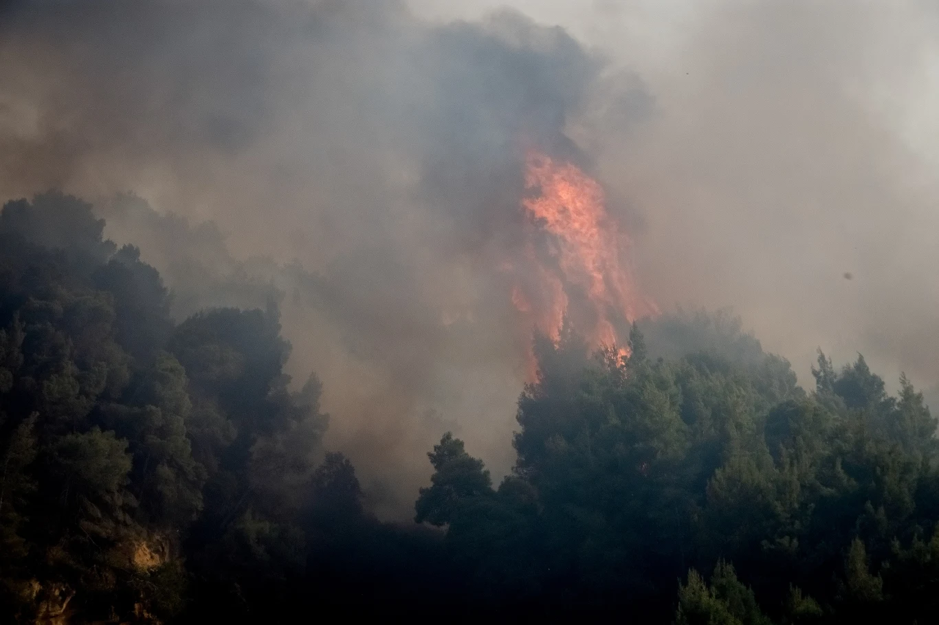 Następnie w błyskawicznym tempie ogień przeniósł się w region Attyki, gdzie znajduje się grecka stolica. Nad Atenami pojawił się gęsty, duszący dym pochodzący z pożaru.