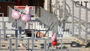 Żużel. Rufin Sokołowski komentuje latające świnie we Wrocławiu: To leczenie kompleksów