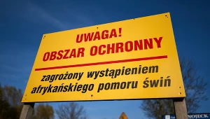 Tablica ostrzegająca przed wirusem ASF na Mazowszu.