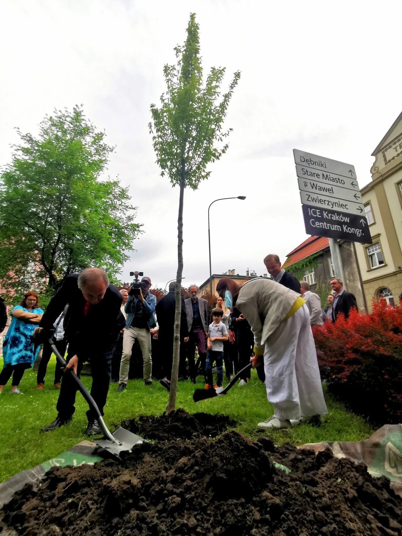 drzewo upamiętniające Dariusza Gnatowskiego