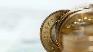Złoty się umocni? To możliwe