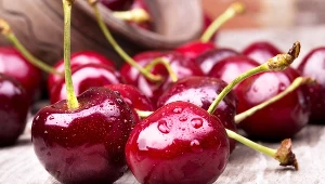 Ile kosztują czereśnie? Wciąż są drogie, ale tańsze niż rok temu 