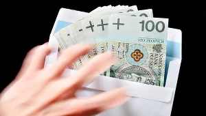 Wyrok dla twórcy piramidy finansowej