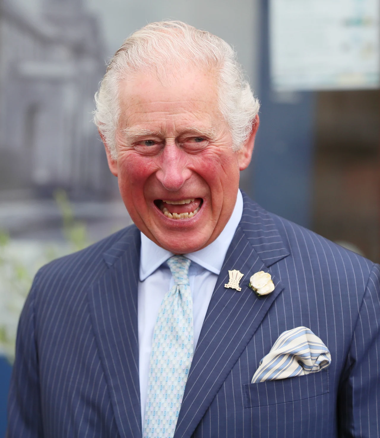 Książę Karol Książę Karol