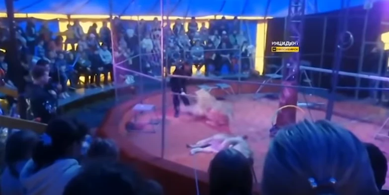 Chwile grozy zostały uwiecznione Chwile grozy zostały uwiecznione