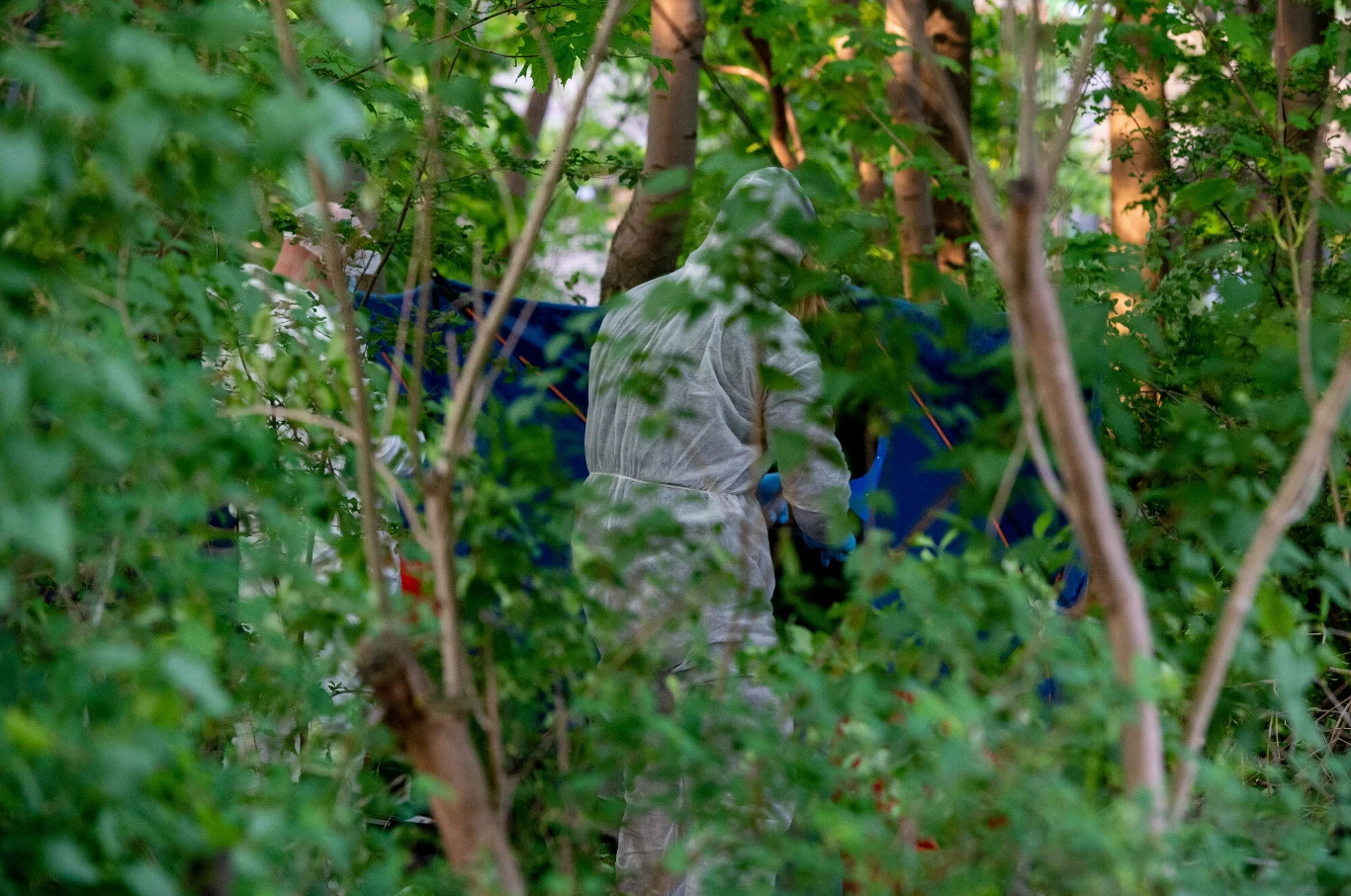 Poszukiwania Iwony Wieczorek zorganizowane przez Krzysztofa Rutkowskiego Poszukiwania Iwony Wieczorek zorganizowane przez Krzysztofa Rutkowskiego