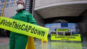 Bruksela: Protest Greenpeace ws. polityki rolnej UE