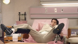 David Schwimmer jako Ross Geller