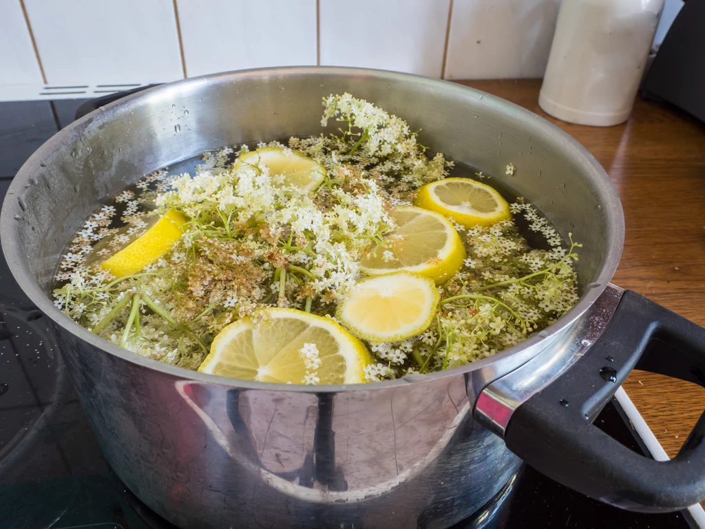 Syrop z bzu to świetna baza do lemoniady