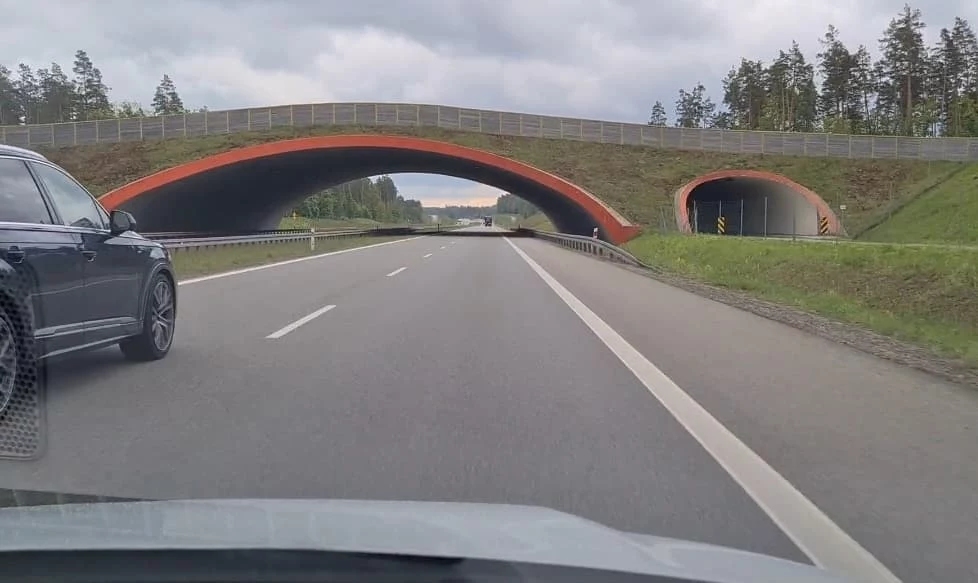 Wyprzedzanie prawą stroną na polskich autostradach jest legalne