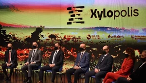 Xylopolis, czyli polski pomysł na EXPO