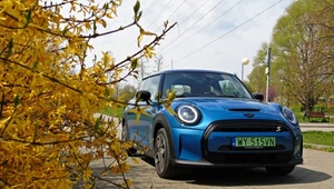 Mini Cooper SE - gdy emocje biorą górę nad rozsądkiem