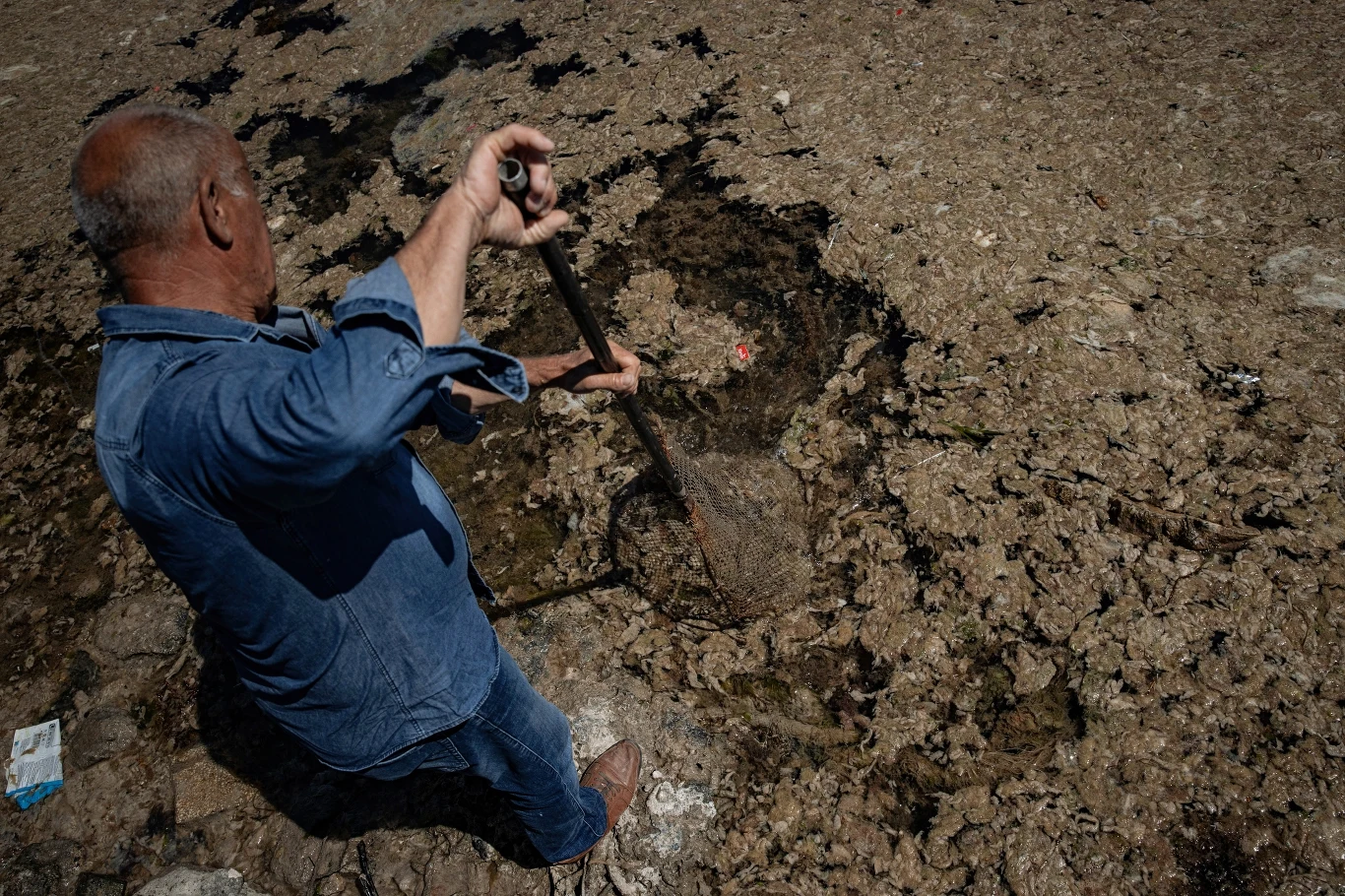 Ale wrażenia węchowe i wizualne to najdelikatniejsze oblicze problemu. Zlepione masy zabijają zwierzęta zamieszkujące wody Marmara. Ryby i inne stworzenia połykają pływające elementy i po prostu się duszą. Ale wrażenia węchowe i wizualne to najdelikatniejsze oblicze problemu. Zlepione masy zabijają zwierzęta zamieszkujące wody Marmara. Ryby i inne stworzenia połykają pływające elementy i po prostu się duszą.