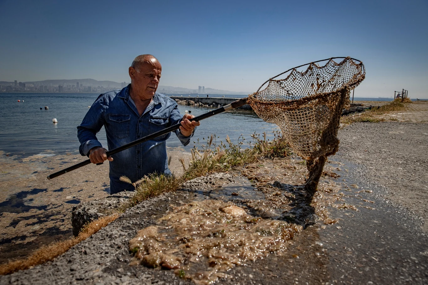 Dodatkowo zjawisko to sprawia, że praca poławiaczy i rybaków staje się wyjątkowo trudna. Dodatkowo zjawisko to sprawia, że praca poławiaczy i rybaków staje się wyjątkowo trudna.