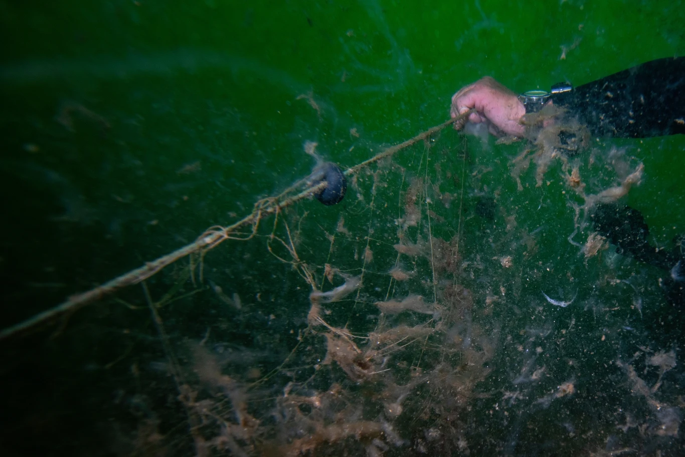 Lokalne władze pozostają niewzruszone na dramatyczne apele mieszkańców. Utrzymują, że to, co dzieje się na Morzu Marmara, to zupełnie normalna rzecz, a sytuacja powinna wrócić do normy za "około dwa miesiące”. Lokalne władze pozostają niewzruszone na dramatyczne apele mieszkańców. Utrzymują, że to, co dzieje się na Morzu Marmara, to zupełnie normalna rzecz, a sytuacja powinna wrócić do normy za "około dwa miesiące”.