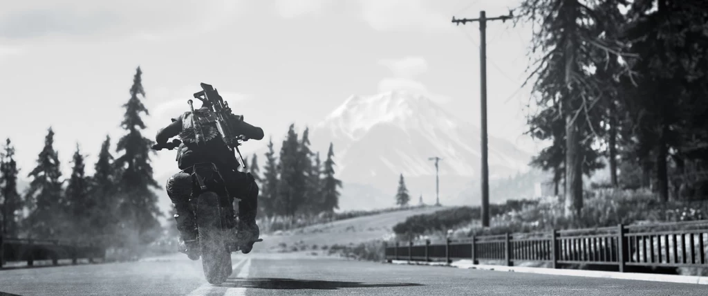Days Gone (PC) Days Gone (PC)