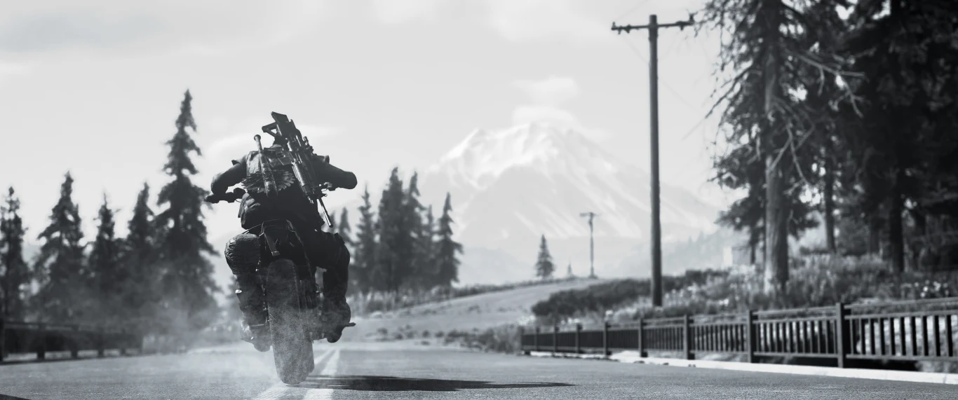 Days Gone (PC)
