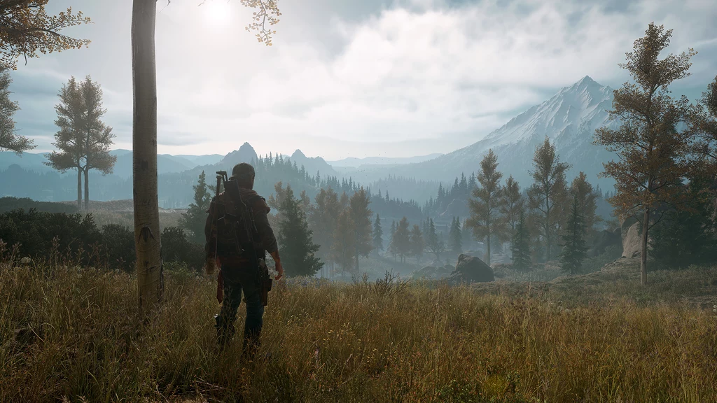 Days Gone (PC) Days Gone (PC)