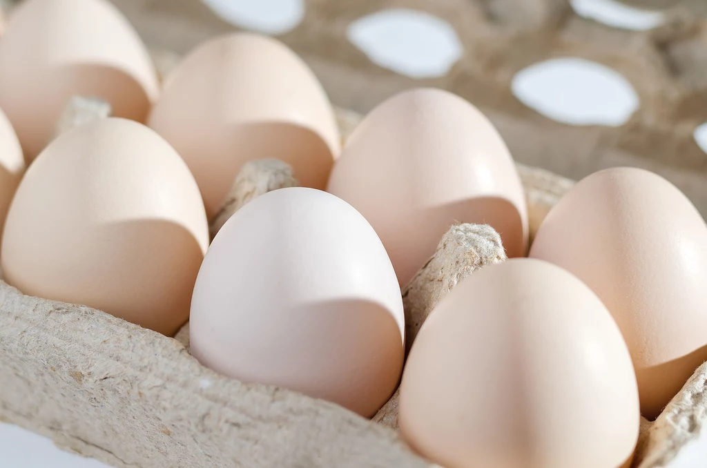 Świeże jajka są chropowate i matowe, powinny być też pokryte brązowym nalotem, a nawet piórami