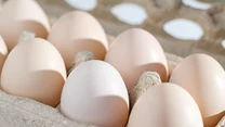 Wytłaczanki po jajkach  

Papierowe, czyste wytłaczanki po jajkach wyrzucamy zazwyczaj do pojemnika na papier. Warto jednak pamiętać, że możemy je z powodzeniem kompostować. By przyspieszyć proces rozkładu, należy pociąć je na mniejsze kawałki. 