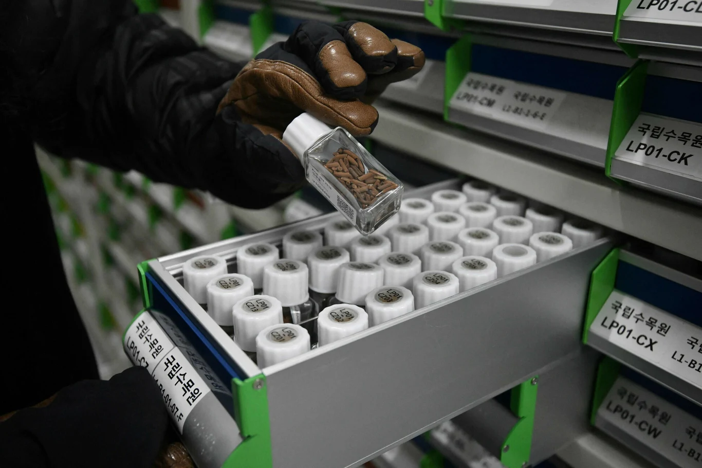 Jak przyznaje przedstawiciel Baekdudaegan, bunkier jest w stanie wytrzymać uderzenie pocisku z ładunkiem nuklearnym i trzęsienie ziemi o sile 6,9 w skali Richtera.