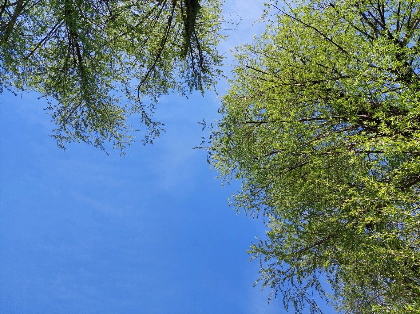 Zdjęcie wykonane Galaxy A72 Zdjęcie wykonane Galaxy A72