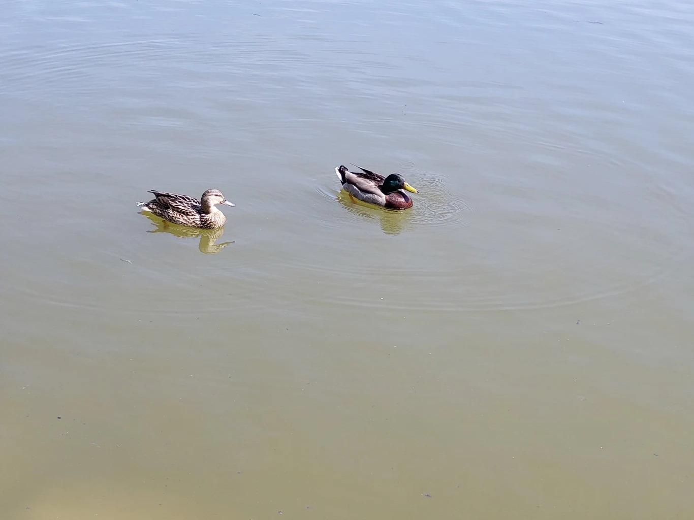 Zdjęcie wykonane Galaxy A72 Zdjęcie wykonane Galaxy A72