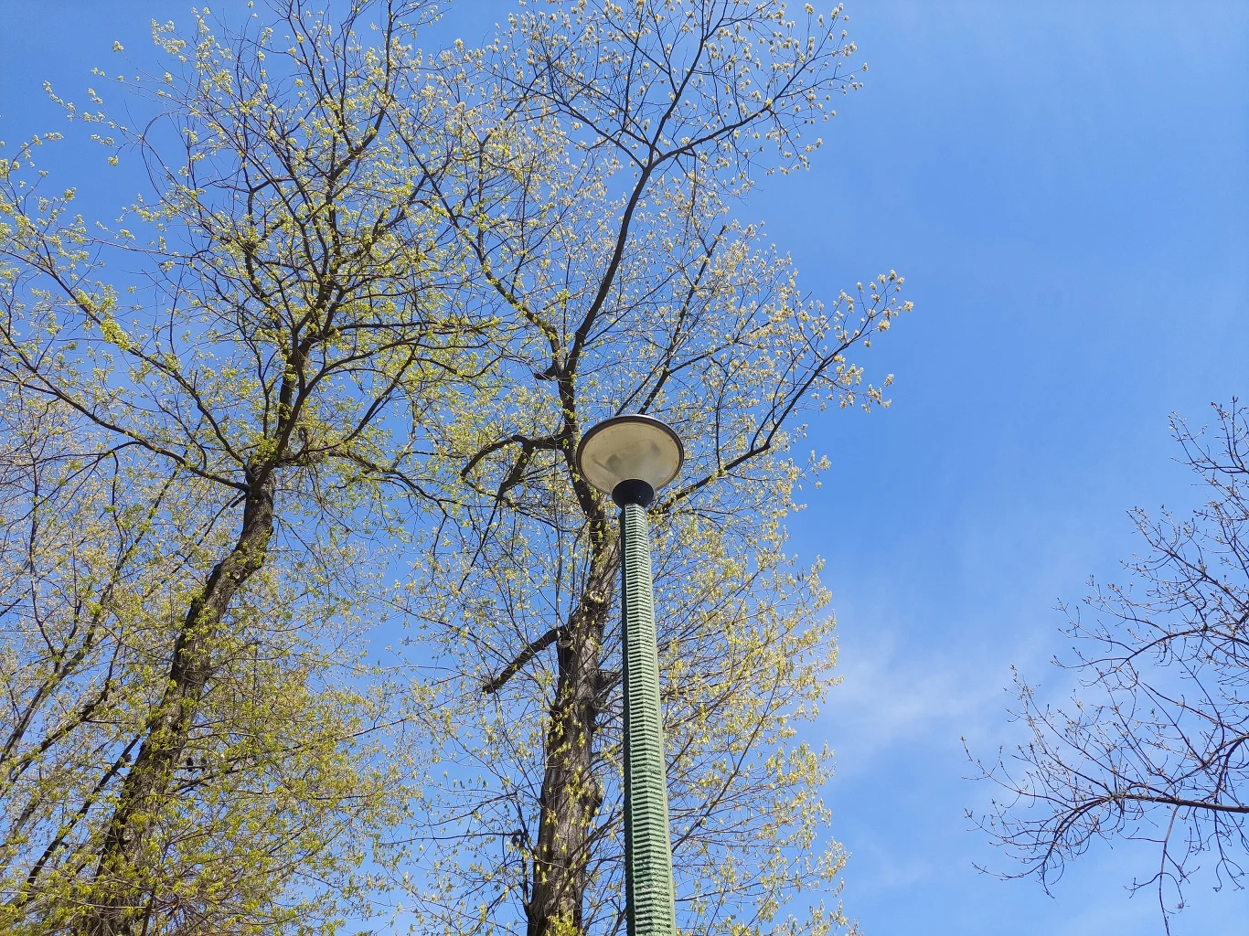 Zdjęcie wykonane Galaxy A72 Zdjęcie wykonane Galaxy A72