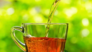 Jak wykorzystać herbatę w ogrodzie?